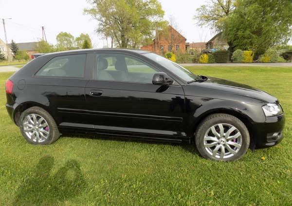 Audi A3 cena 20900 przebieg: 154000, rok produkcji 2009 z Szprotawa małe 497